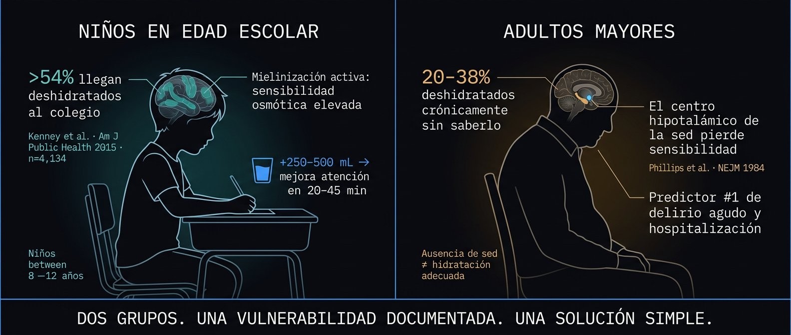 Grupos vulnerables a la deshidratación: niños en edad escolar y adultos mayores